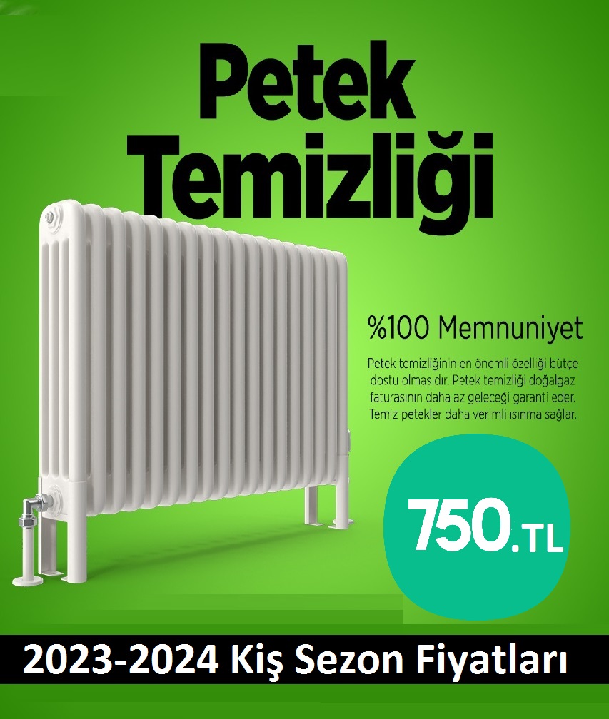 Kartal Petek Temizliği Tek Fiyat Teklifi Al